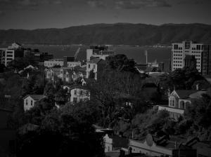 urban_Wellington 06